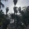 DannyTheFanny01 - @dannycarberry01 - TikTok