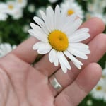 dan@totalscenicsolutions.com - @dancarden - Instagram