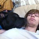 Dan Carini - @carinidan - Instagram