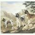 Daniel Carlea - Facebook