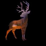 Daniel Carlsen - @dan_carlsen67 - Instagram