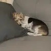 Danielle Carman - @daniellecarman - TikTok