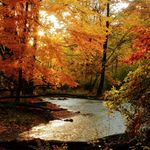 Dan Carmody - @ddcarmodygmailcom - Instagram