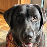 Dan Caron - @hart.caron - Instagram