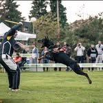 Dan Cartwright - @doogadobermann - Instagram