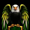 Dan McCarty Tea Page🤏🏾💚💛🦅 - @danmccarty51 - TikTok