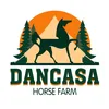 Dancasa Horse Farm - @dancasahorsefarm - TikTok