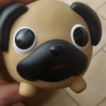 Danilo Cascio - @danilo.cascio - Instagram