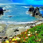 Dan Casteel - Facebook