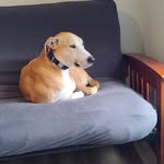 Dan Casto - @casto_dan - Instagram