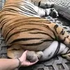 Dan Castor - @dan.castor5 - TikTok