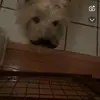 dan_castro - @dan_castro12 - TikTok