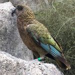 Dan Caulfield - @zcauld - Instagram