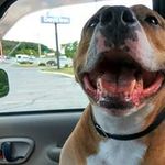 Dan Cavanaugh - @dcavs927 - Instagram