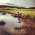 Dan Cavendish ッ - @dancavendish - Instagram