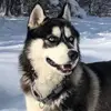 Daniela Cecchini303 - @danielacecchini24 - TikTok