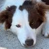 Daniela Cecchini - @daniela.cecchini0 - TikTok