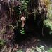 Gunung Penenelope Dan Gunung Cecil Cameron Highlands - Facebook