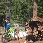 Danny Celeste - @dan.celeste.7 - Instagram