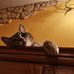 Tosca Dancelli - Facebook