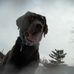 Dan Cermak - Facebook