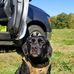 Dan Chabot - Facebook
