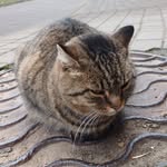 dan chaika - @dannchalka - Instagram