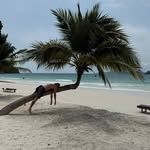 Dan Chambers - @travelling_dan_ - Instagram