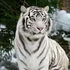 Dan Champagne - @dan.champagne2 - TikTok