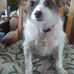 Dan Champney - Facebook