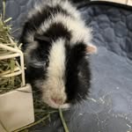 だんちゃん - @danchang - Instagram
