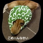 @dan_channel - Instagram