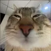 Danchar - @tele2_oficall - TikTok