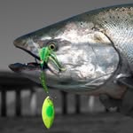 Dan Charboneau - @chinook_outfitters13 - Instagram