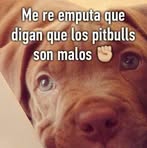 Daniel Charpentiere - Facebook