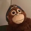 Dan Chase - @dan.chase46 - TikTok