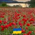 Dany Chevalier - Facebook