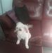 Daniel Chevrier - Facebook