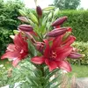 danielchevrier340 - @danielchevrier340 - TikTok