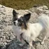 Danielle Chevrier - @danielle.chevrier4 - TikTok
