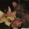 Dan - @danica.chiasson - TikTok