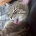 Danika Chicoine - Facebook