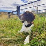 Dan Chidley - @dan0887 - Instagram