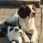 Dan Childs - @dxn_.08 - Instagram
