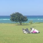 Dan Chin - @kitebeachja - Instagram