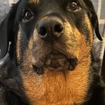 Dan Chinn - @danchinn - Instagram