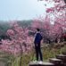 Dan Chiu - Facebook