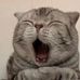 Dan Chiu - Facebook