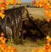 Dan Chivu - Facebook