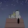 dancipoletti - @dancipoletti - TikTok